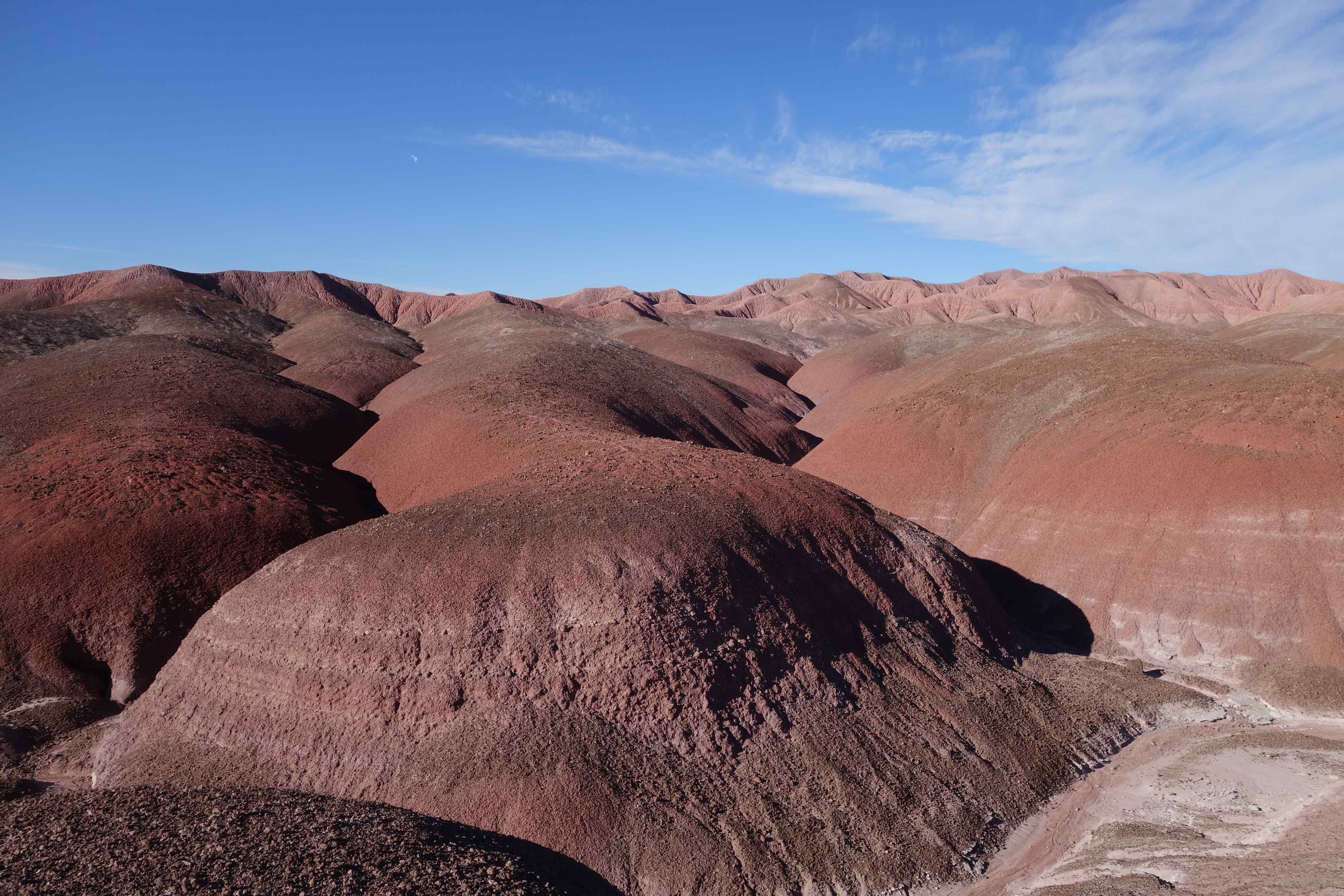 Petrified Forest NP